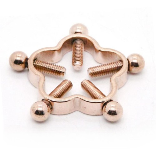 HY3383--Plum blossom stainless steel adjustable nipple clamp with perforation