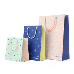 Gift paper bag HY0081