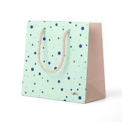 Gift paper bag HY0081