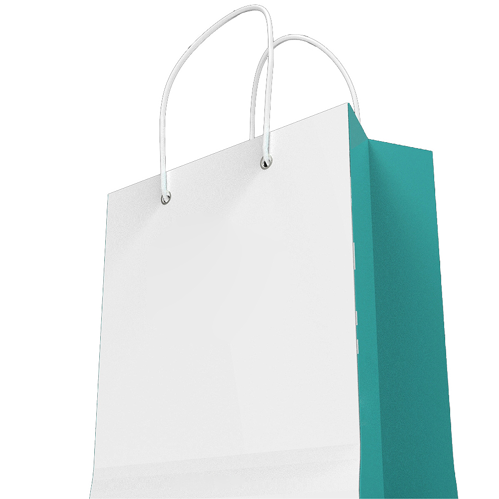 Gift paper bag HY0083