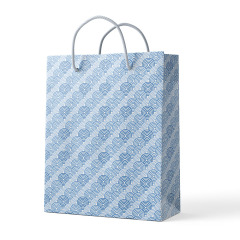Gift paper bag HY0084