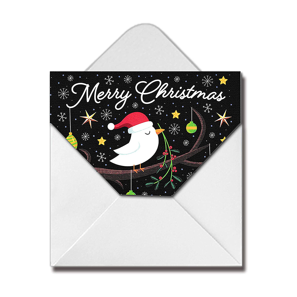 Cards and Envelope HY0056