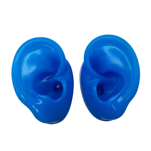 Silicone Ear Model-Blue
