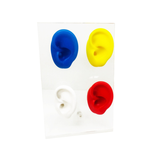 Four Ears Model Display