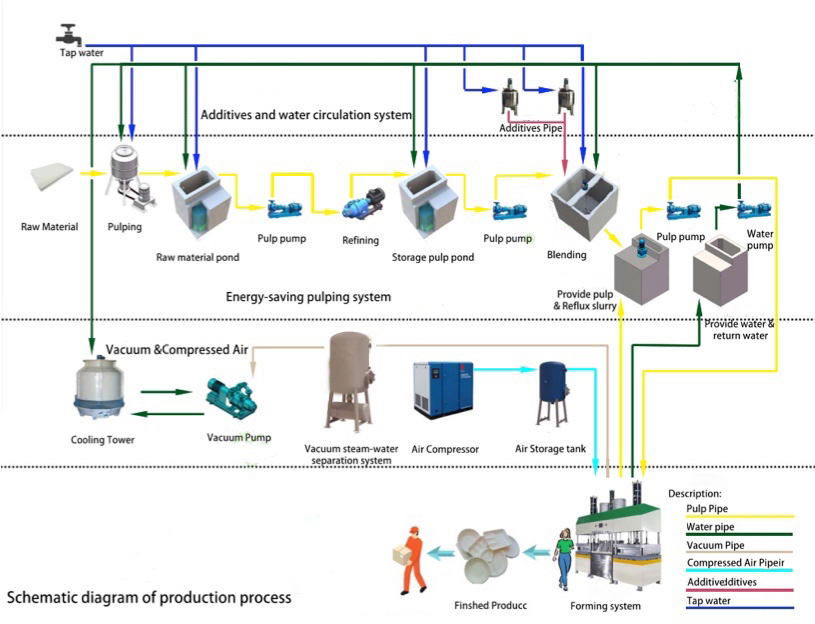 Regular Speed Pulp Molding Machine,Automatic Pulp Molding Machine Solution