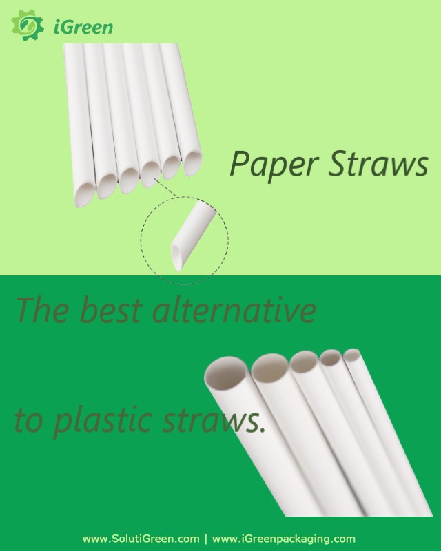 Why Choose Paper Straws Instead of Plastic Straws