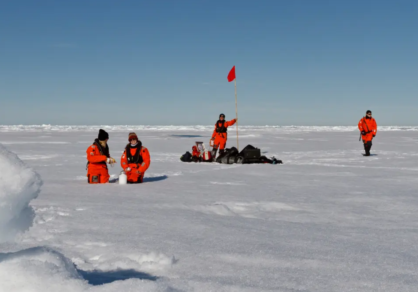 The world’s ‘plastic flood’ has reached the Arctic