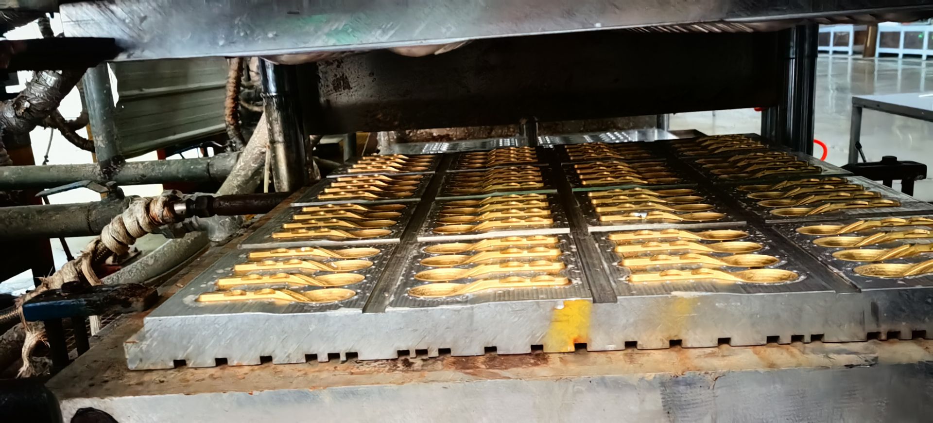 The Sustainable Evolution: The Development of Bagasse Cutlery