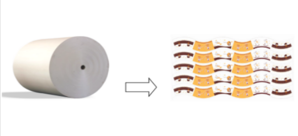 Key Points to Check the Quality of PE Coated Paper