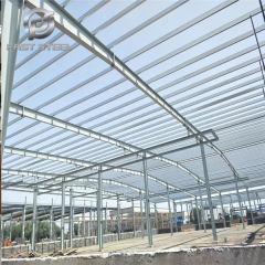 Industrial steel structure warehouse