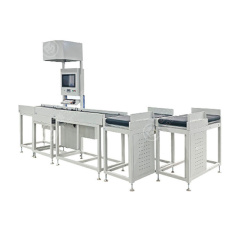 Dws System Parcel Sorting System Weighing Scanning Machine For Warehouse Logistic