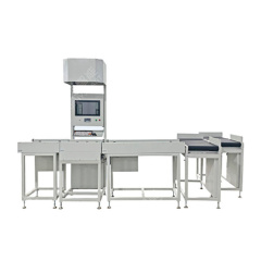 Dws System Parcel Sorting System Weighing Scanning Machine For Warehouse Logistic