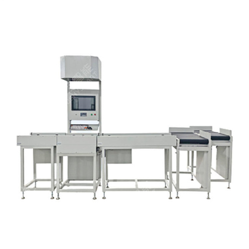 Dws System Parcel Sorting System Weighing Scanning Machine For Warehouse Logistic