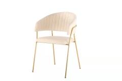 Hot Selling Cafe Dining Chair Modern Metal Leg Dining Chair Modern Velvet Restaurant Dining Chair