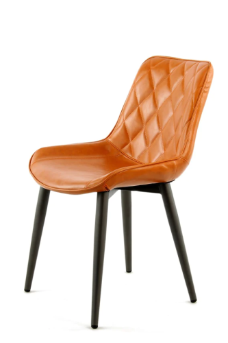 Modern dining chairs