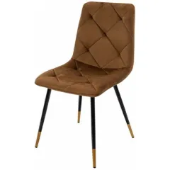 Modern dining chairs