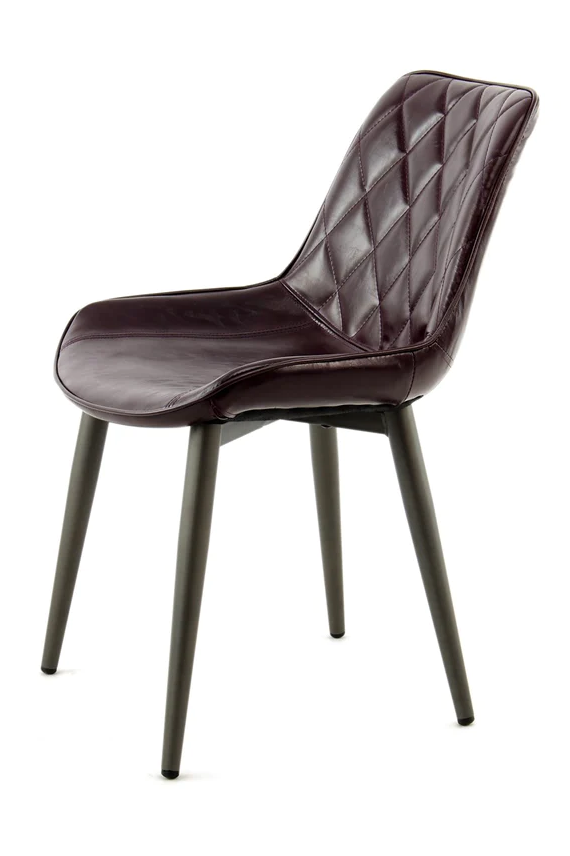 Modern dining chairs