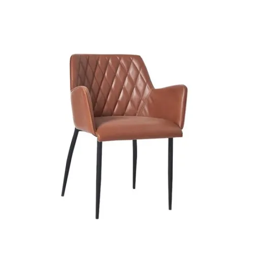 Modern dining chairs