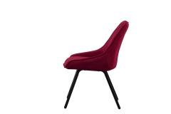 Modern dining chairs