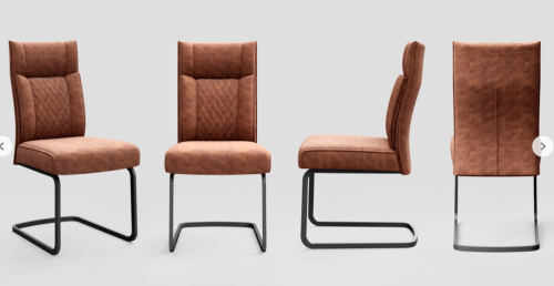 Modern dining chairs
