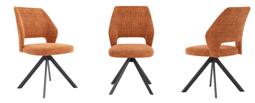Modern dining chairs