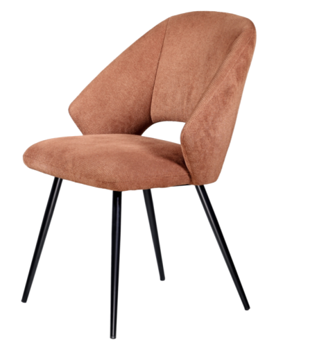 Modern dining chairs