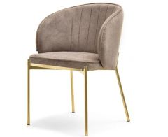fashion dining chair