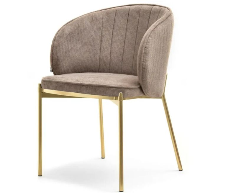 fashion dining chair