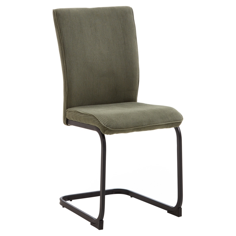 Modern dining chairs