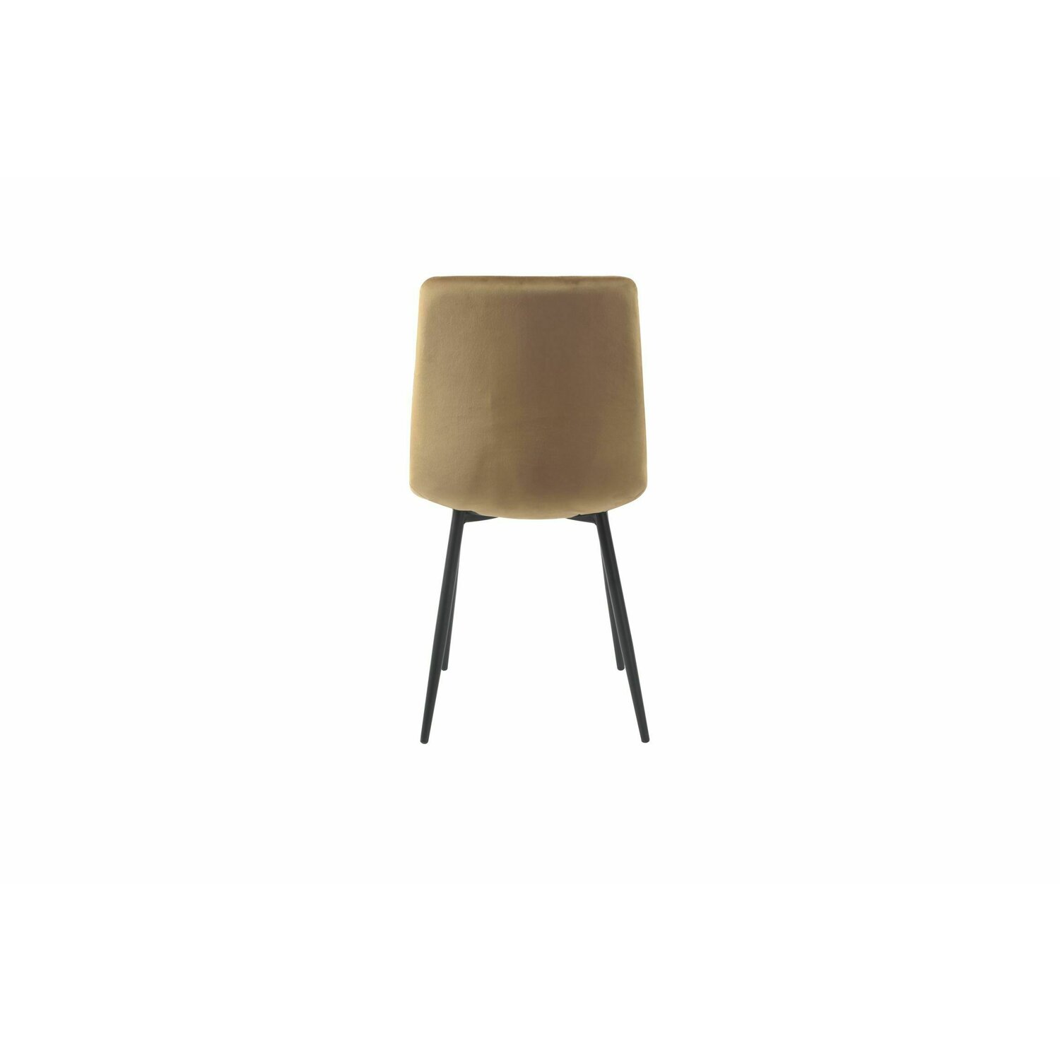 Modern dining chairs