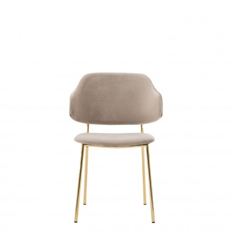 Modern dining chairs