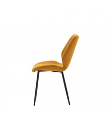 Modern dining chairs