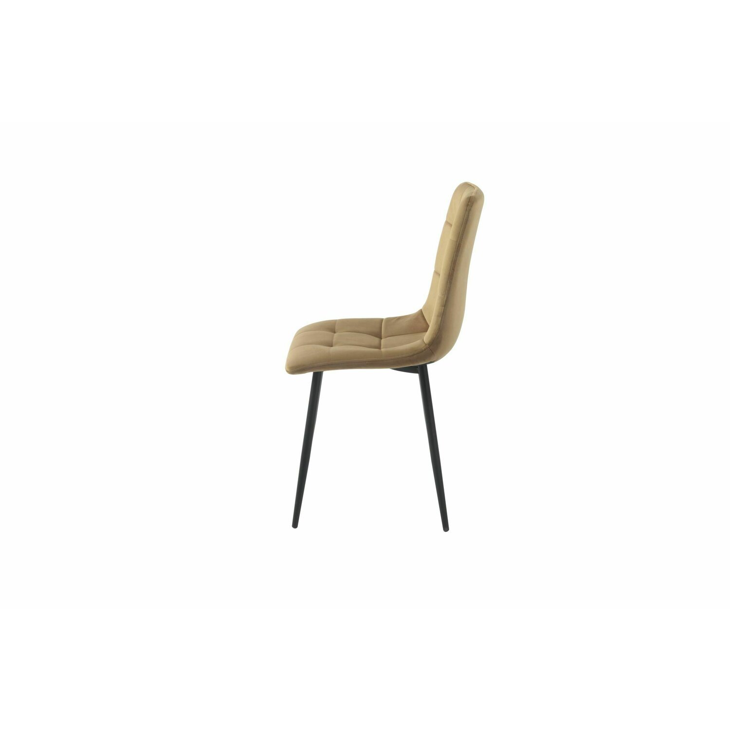 Modern dining chairs