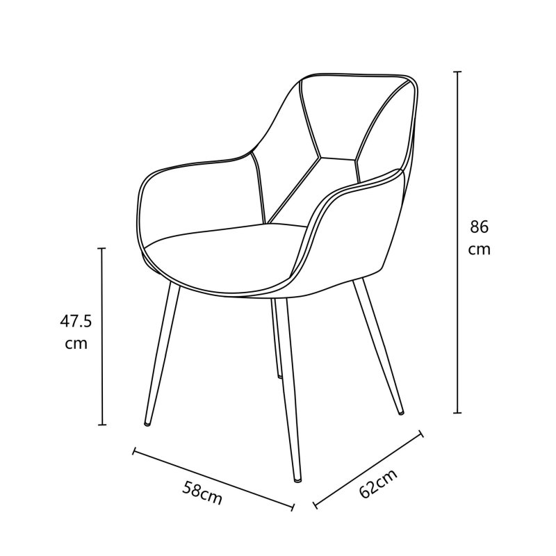 Modern dining chairs