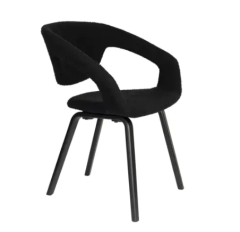 Modern dining chairs
