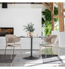 Modern dining chairs