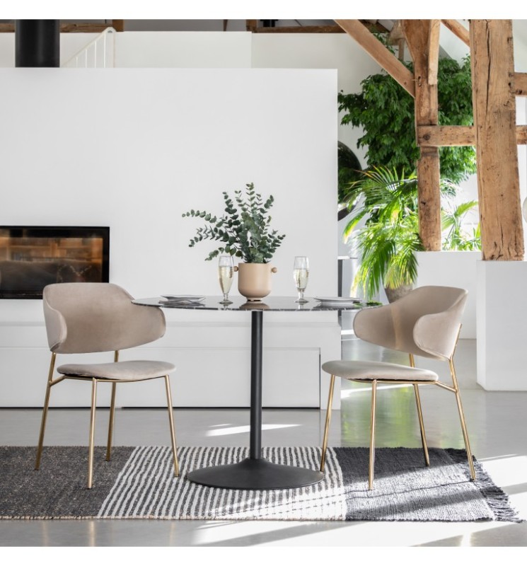 Modern dining chairs