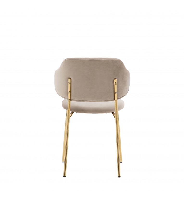 Modern dining chairs