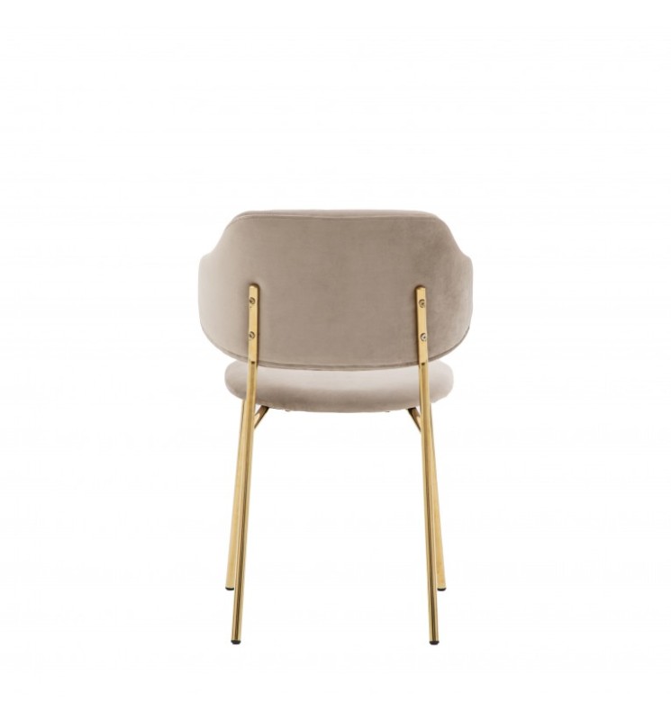Modern dining chairs