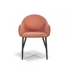 Beauty Dining Chair
