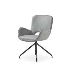 Beauty Dining Chair with different fabric