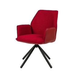 Beauty Dining Chair