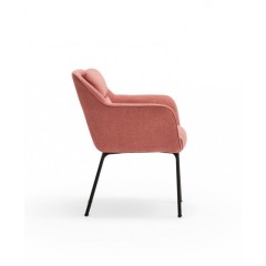 Beauty Dining Chair
