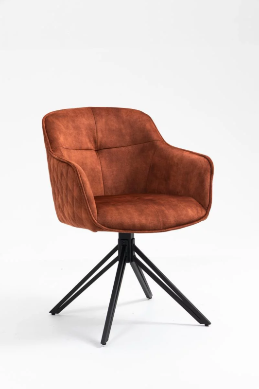 Modern dining chairs