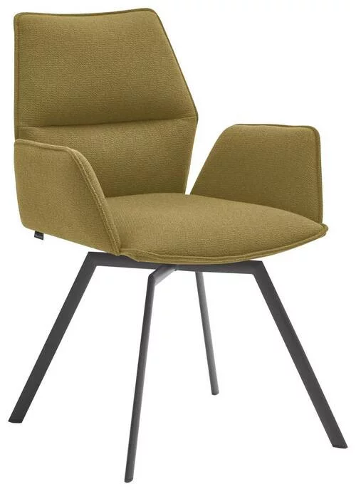 Modern dining chairs
