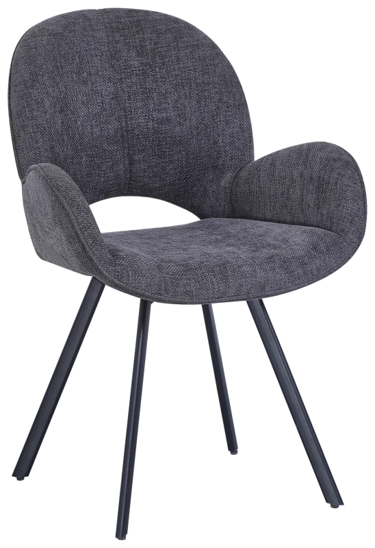 Modern dining chairs