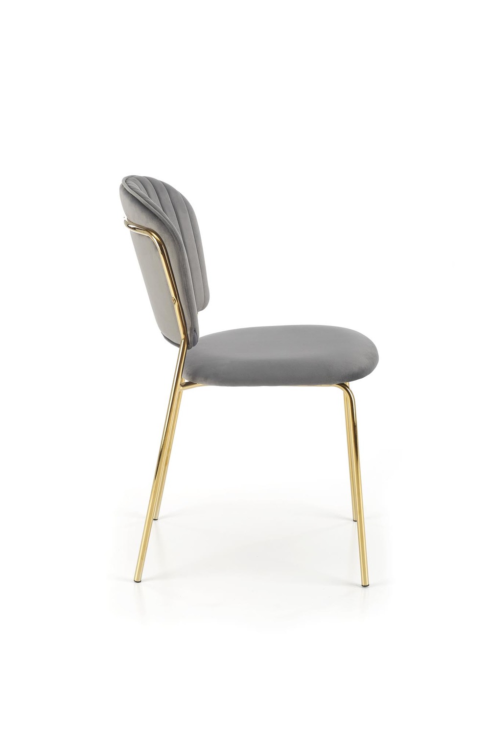 Modern dining chairs