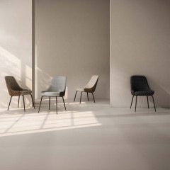 Morden Dining Chiar