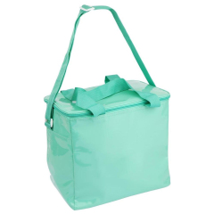 Food PicnicIce Cooler / Grocery Bag