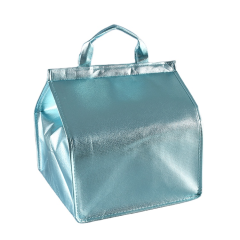 Portable Cooler / Grocery Bag